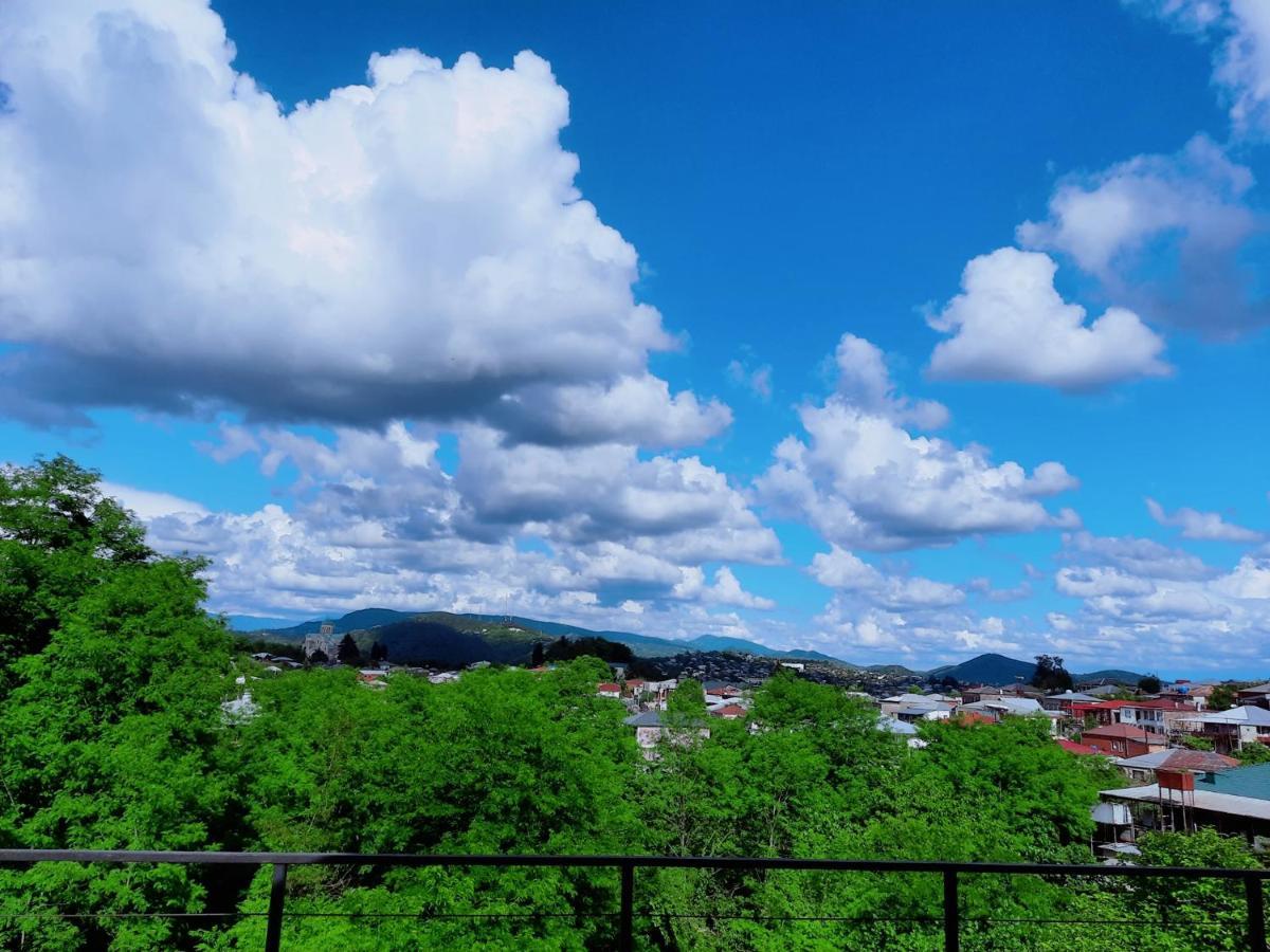 Inaisi Hotel Kutaisi Exteriér fotografie