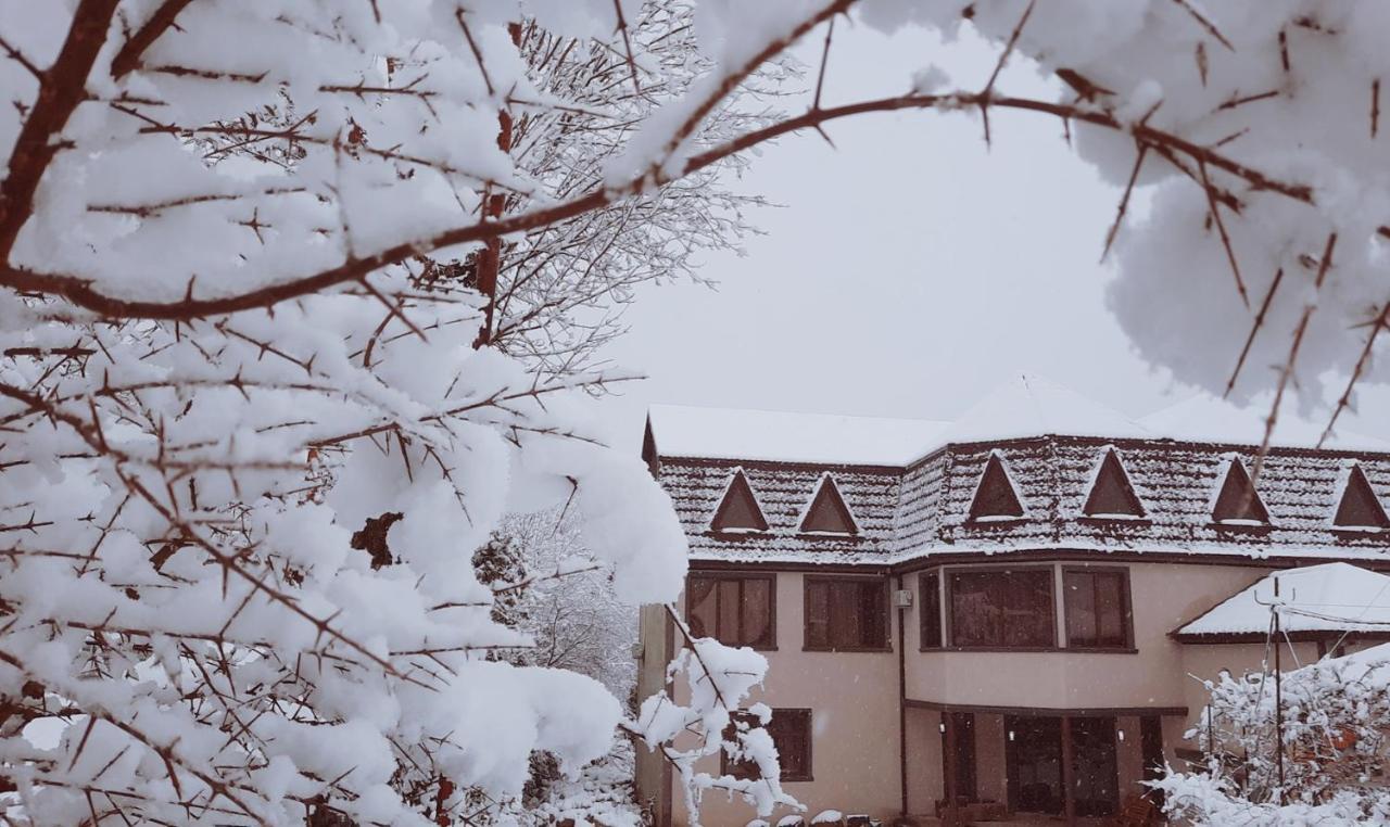 Inaisi Hotel Kutaisi Exteriér fotografie
